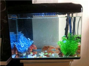 水族箱长60宽30高60